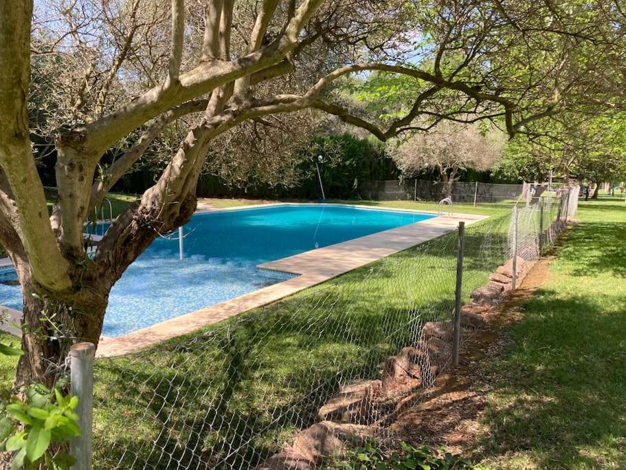 Acogedor Chalet Familiar En La Sierra Calderona Naquera Ngoại thất bức ảnh